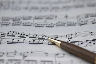 乐鱼官方登录入口-NBA球员职业规划建议与实施，nba球员怎么规划锻炼和训练