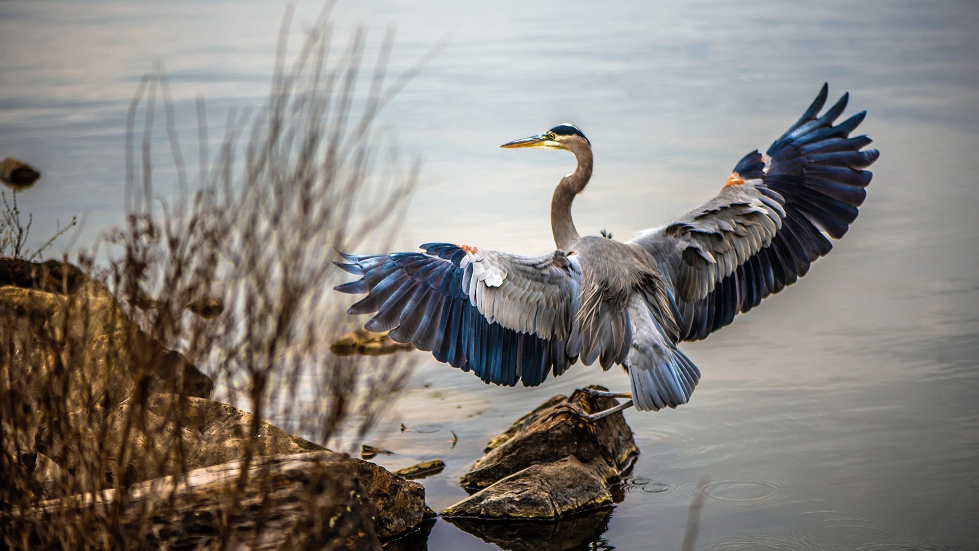 NBA球队战术体系与球队胜率的相关性分析,nba球队战术图解