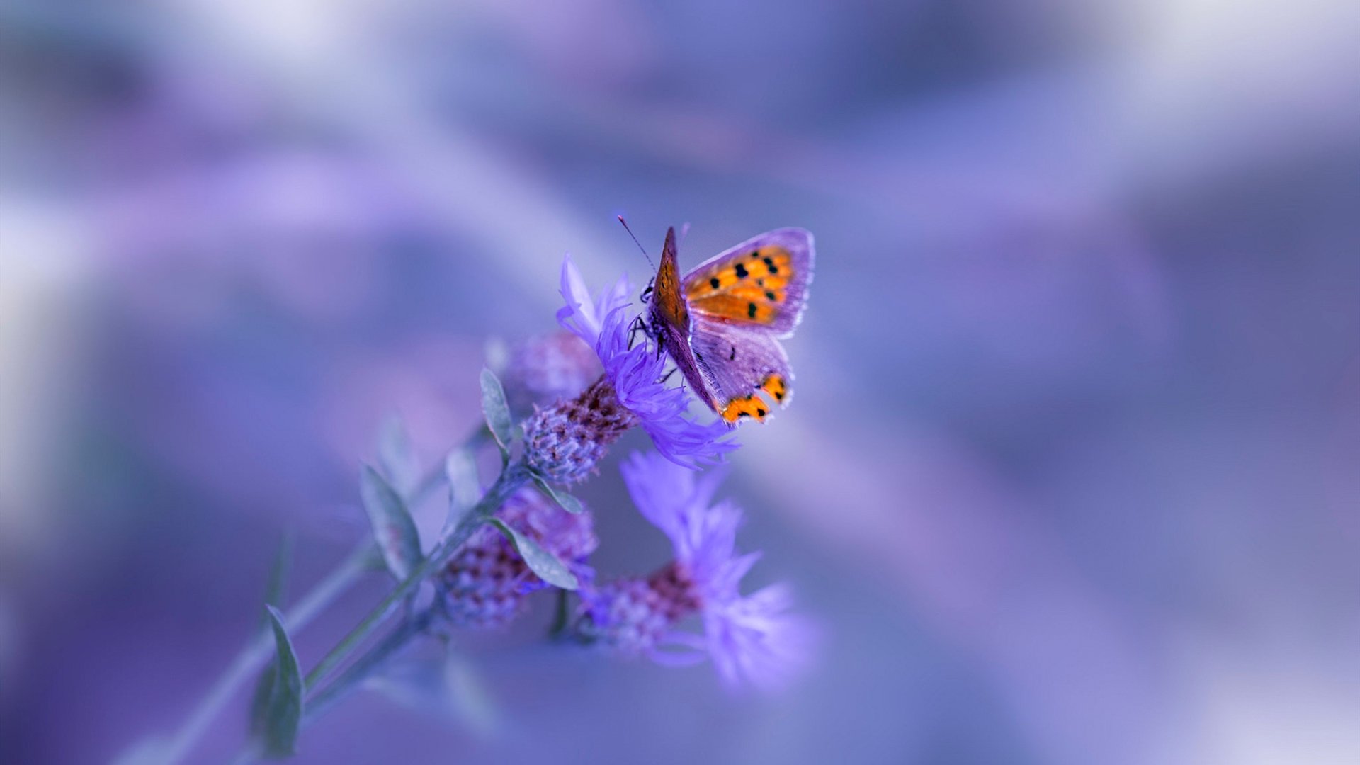 运动行为对青少年网络依赖的调节作用研究，阐述运动对于青少年的帮助和影响