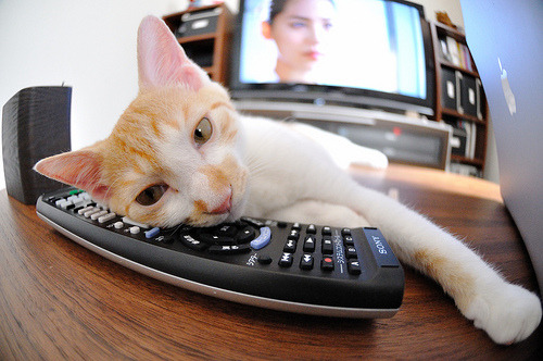 乐鱼vip-中国330人代表团出征，史上最强世运阵容！，你觉得中国代表团在第32届奥运会上将获得多少枚金牌