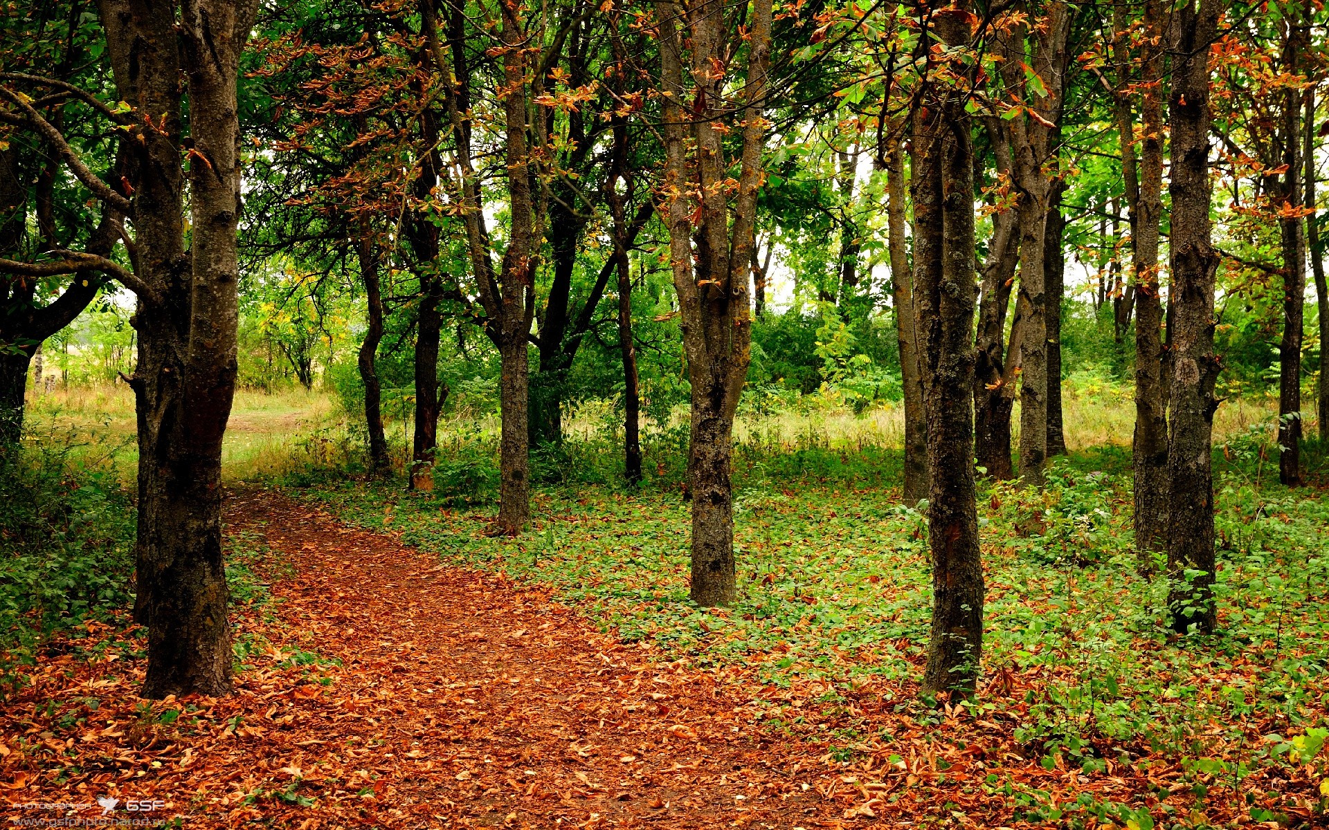 中国女篮心理素质训练成效显著,中国女篮团队精神的感悟