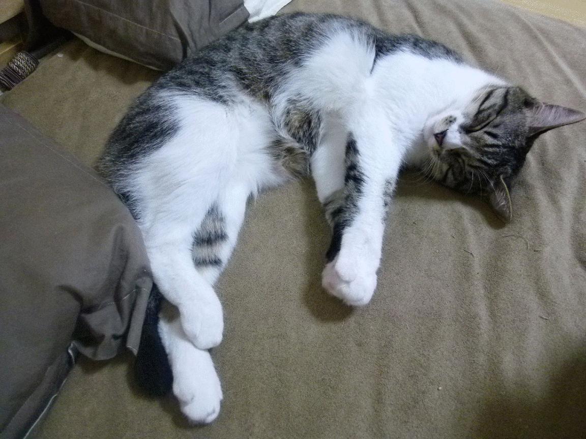 中国男篮在友谊赛中展现良好状态,中国男篮在友谊赛中展现良好状态是什么