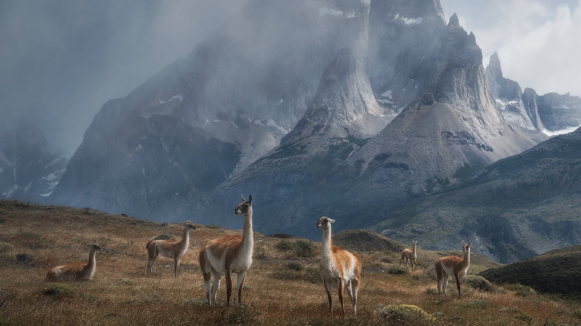 乐鱼（LEYU）体育-国家队锋线缺乏多样化配置选项，国家队锋线排名