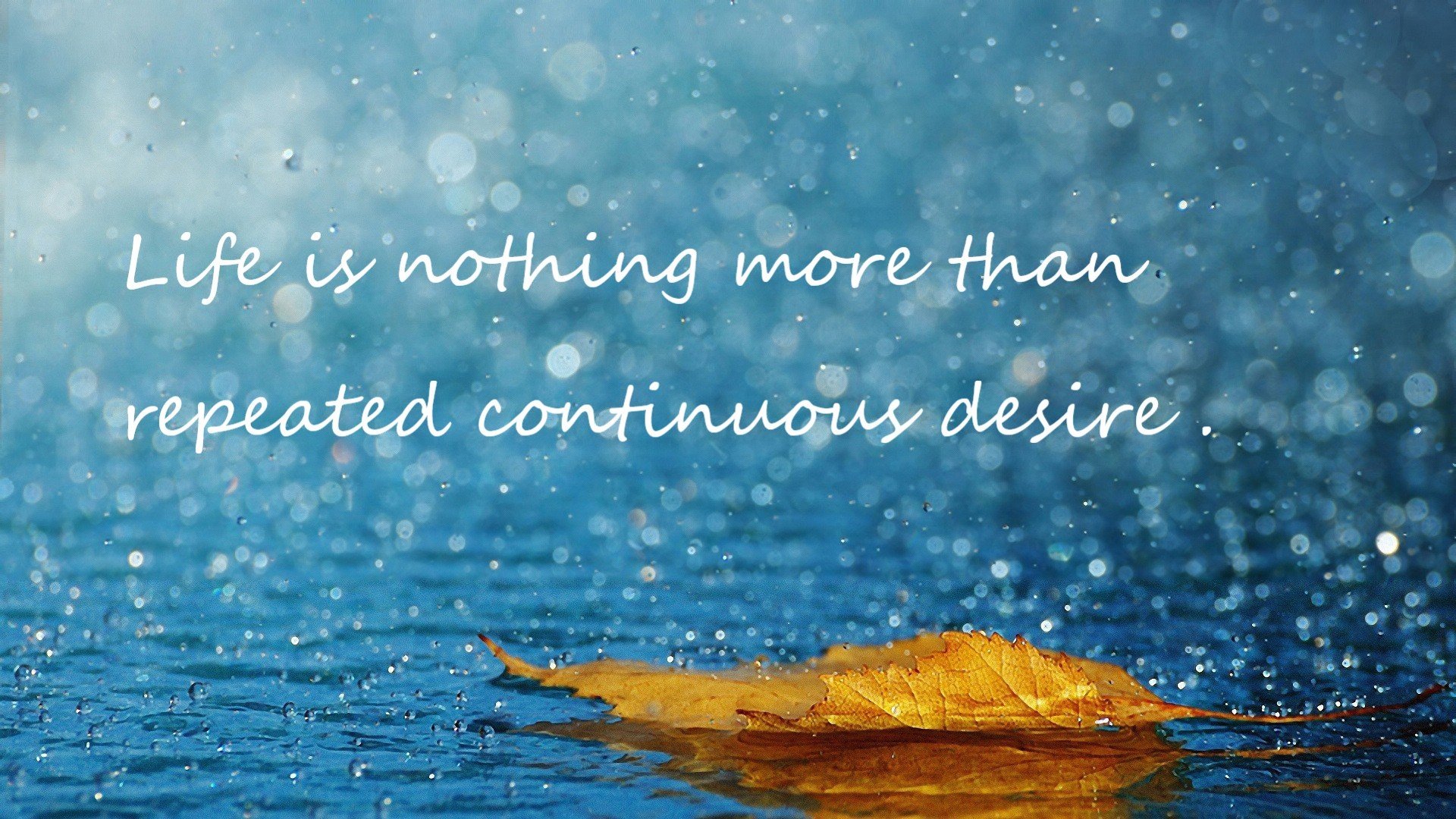 澳男泳队新星闪耀首次亮相,澳运会游泳