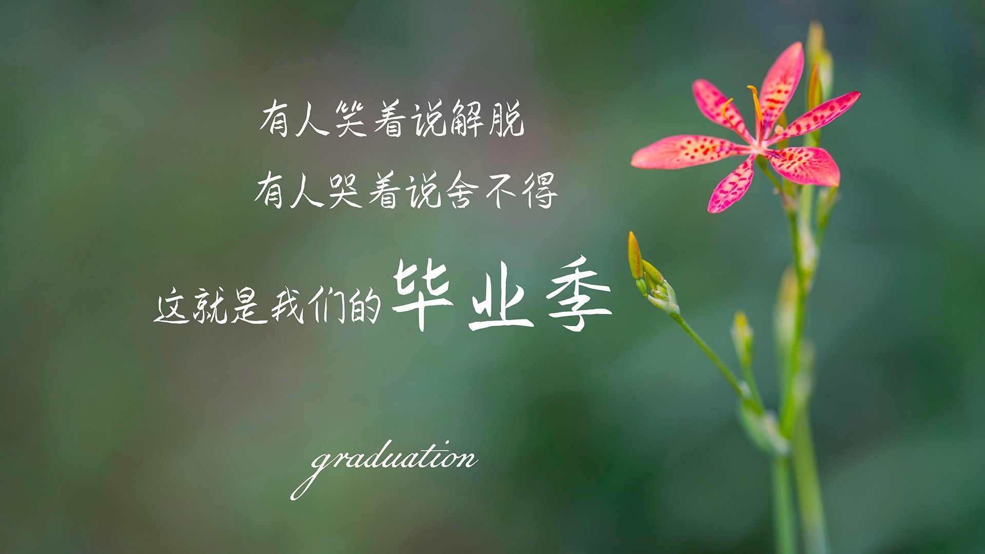 “华金·托比利亚的领导力与团队精神,帮助美洲狮队建立强大战术基础”