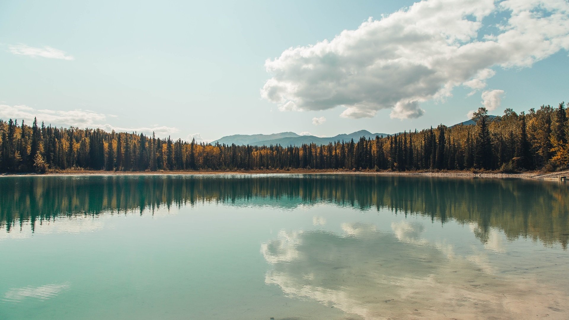 世界杯精彩纷呈:永远难忘的战役!,最难忘的世界杯