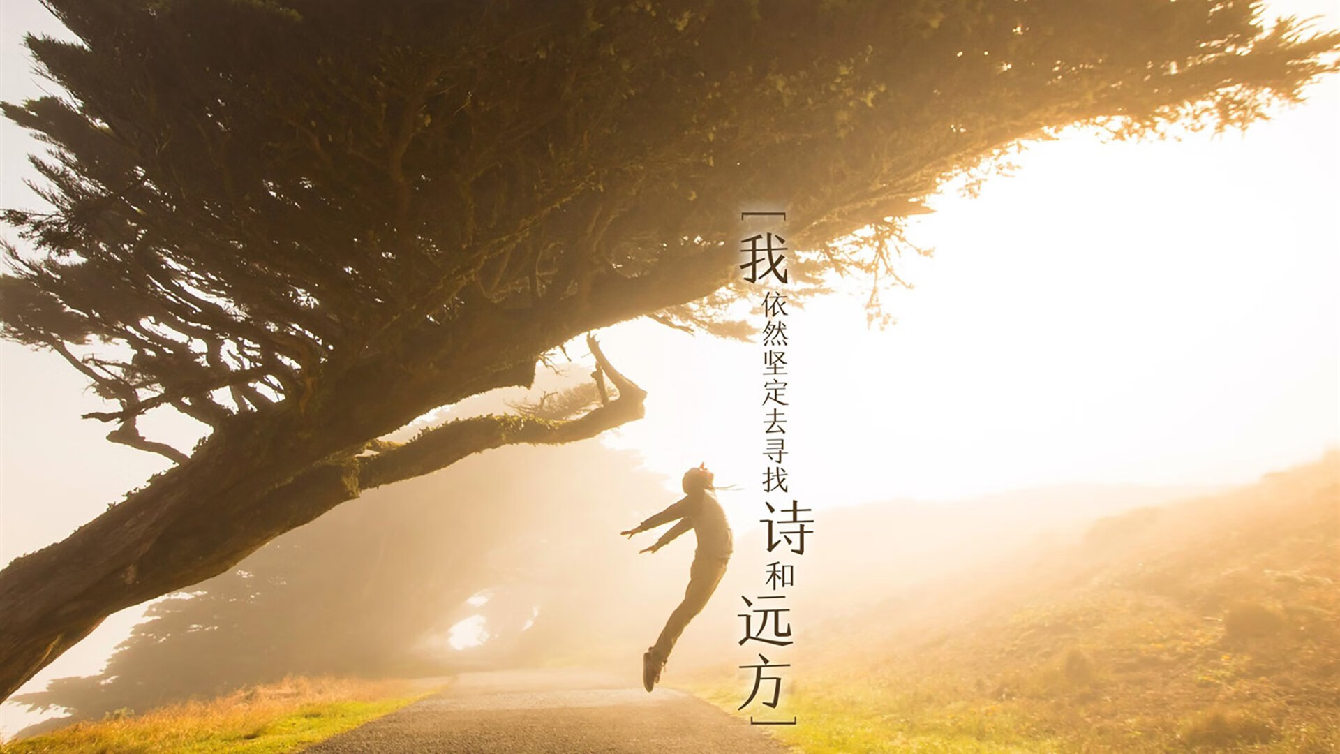 乐鱼电竞在线平台-亚历克斯·格林伍德的精准防守让袋鼠队在关键时刻稳住局面，格林伍德上赛季进球