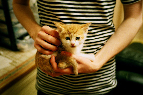 乐鱼体育平台官网-体育新闻中心联动校园体育，校园体育文化节新闻稿600字