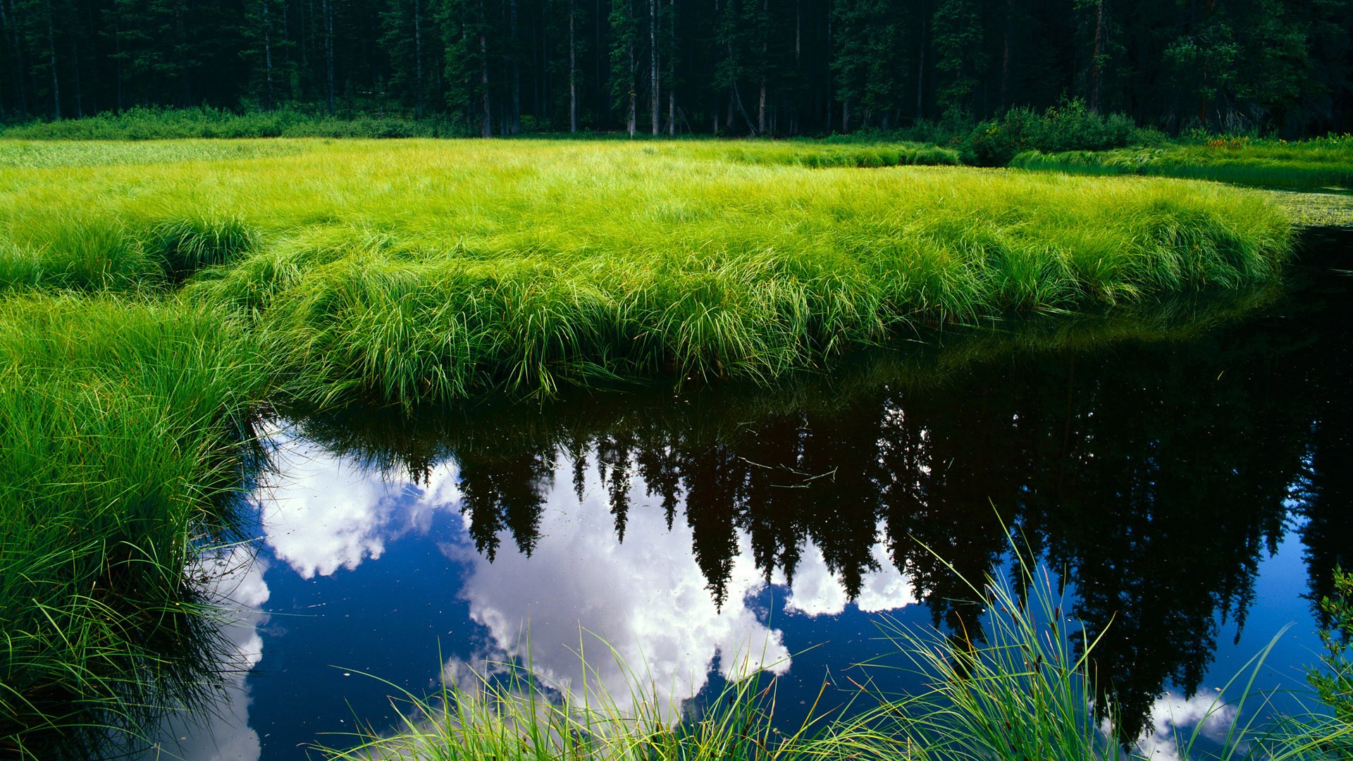 威少强调比赛专注是决定胜负关键,威少的技术